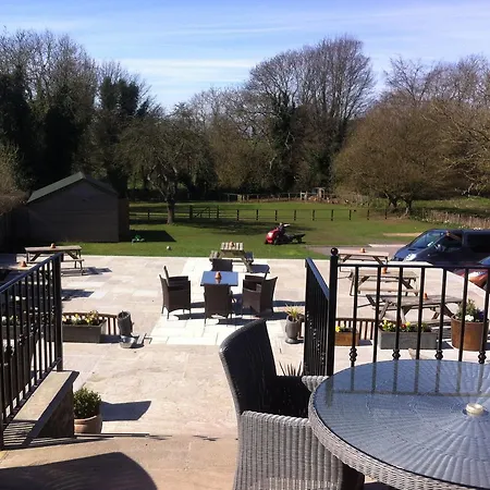 Old Oak Tree ホテル